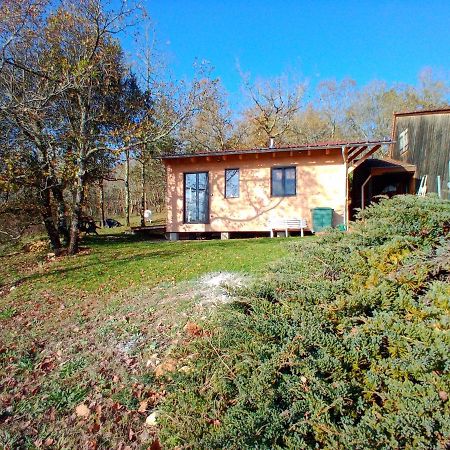 Maison Dans Un Ecrin De Verdure Saint-Leon-sur-Vezere Esterno foto