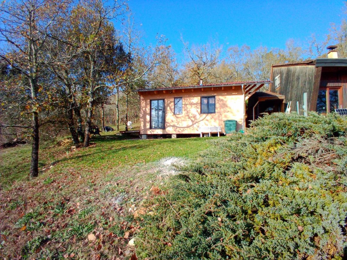 Maison Dans Un Ecrin De Verdure Saint-Leon-sur-Vezere Esterno foto
